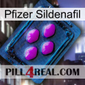 Pfizer Sildenafil 04